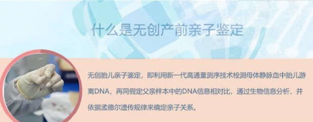 曲靖怀孕了要如何办理胎儿DNA鉴定,曲靖无创产前亲子鉴定多少钱的费用 曲靖怀孕了要如何办理胎儿DNA鉴定,曲靖无创产前亲子鉴定多少钱的费用