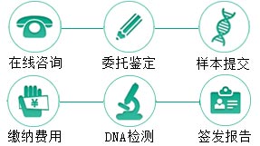 同父异母半同胞鉴定